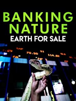 3 banking nature